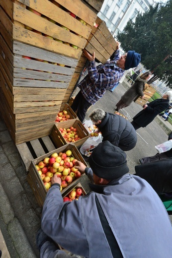 Jabłka od Caritas