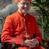 Kard. Luis Antonio Tagle ur. w 1957 roku w Manili. Doktor teologii, specjalizujący się w teologii dogmatycznej, którą studiował na Filipinach i w Stanach Zjednoczonych. W wieku 44 lat został biskupem, a 10 lat później metropolitą Manili i następnie kardynałem. W jednej z filipińskich telewizji prowadzi własny program, w którym rozważa słowo Boże.