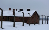 Obchody 70. rocznicy wyzwolenia Auschwitz-Birkenau