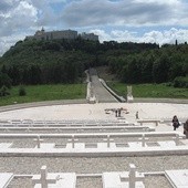 "Czerwone maki" wrócą do Polski!