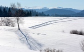 Bieszczady