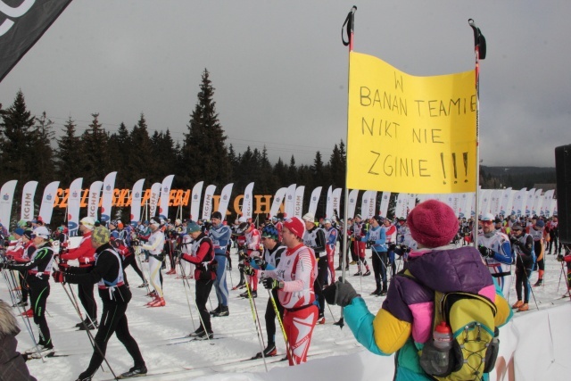 50 km dowolnym