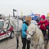 Można było przymierzyć się do kucyka