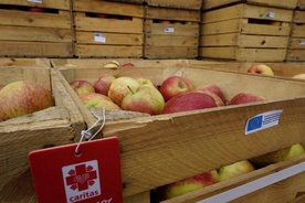 Jabłka z programu Embargo dla Caritas