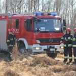 Ogień, który ratuje wrzos