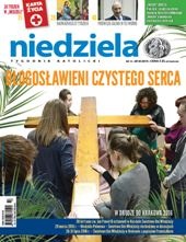 Niedziela 13/2015