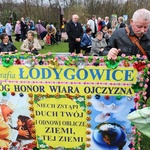 Niedziela Miłosierdzia w Łagiewnikach - 2015. Cz. 3