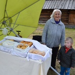 Krokusy w Chochołowskiej