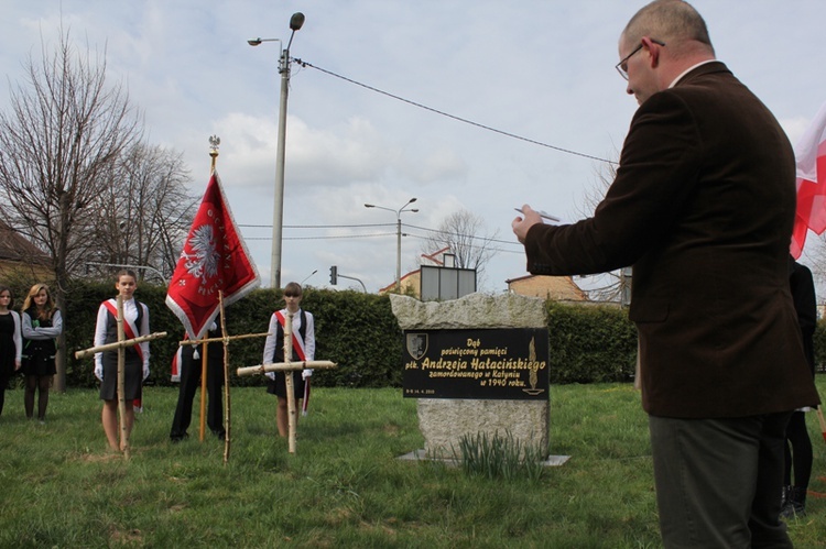 Dąb pamięci płk. Andrzeja Hałacińskiego ma 5 lat