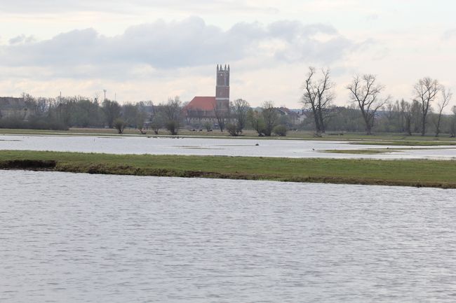 Rezerwat "Ujście Warty"