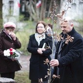 Drzewko będzie rosło w parku Muzeum Przyrody