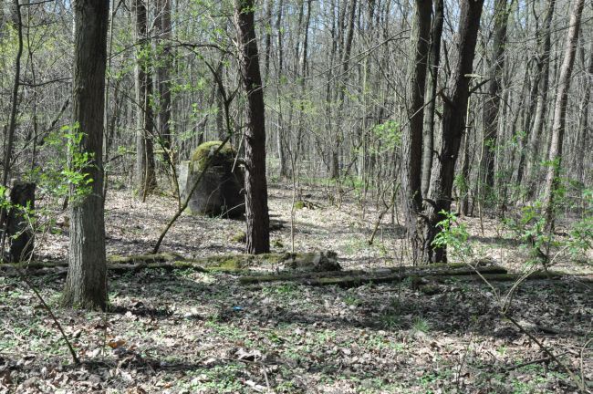 70. rocznica wyzwolenia obozu Blechhammer