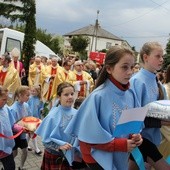 Uroczyste wprowadzenie rellikwii i obrazu do kościoła