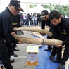 Tajlandia: Skonfiskowane 3 tony kości słoniowej