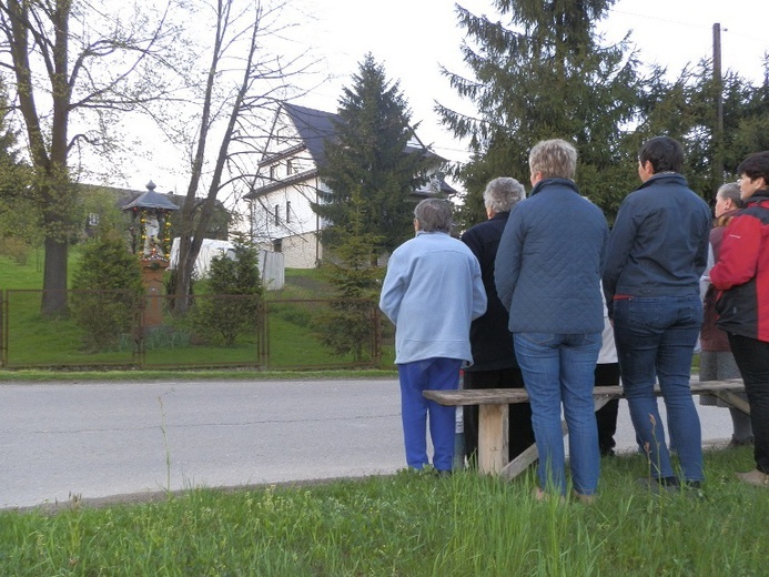 Majówka w Bogoniowicach