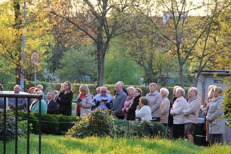 Majówka w Mościcach 