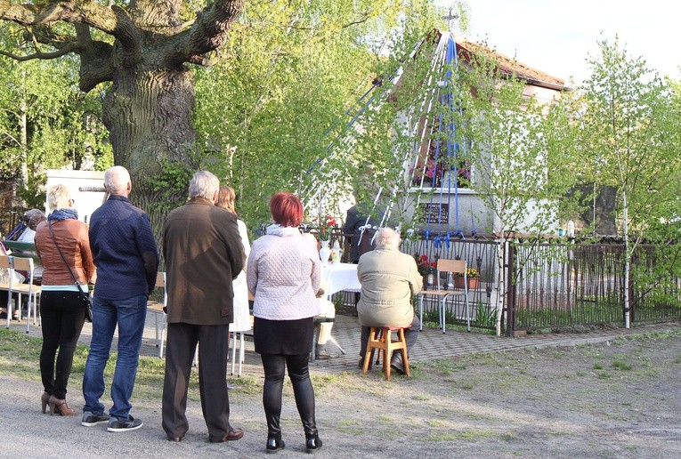 Chwalcie łąki umajone