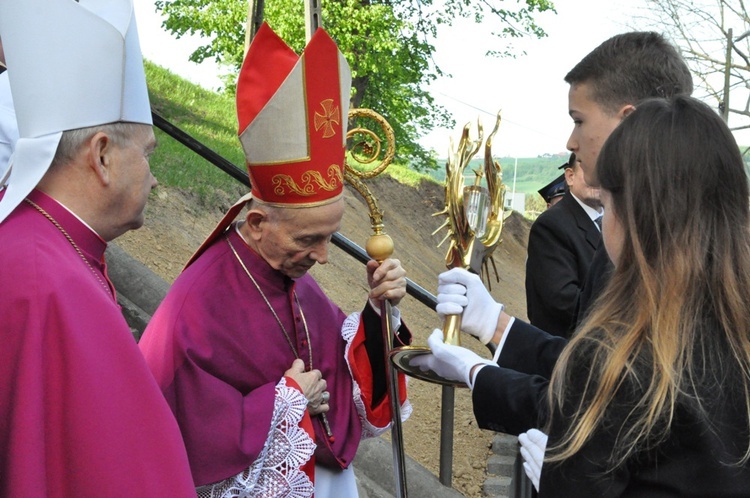 Nawiedzenie w Pleśnej