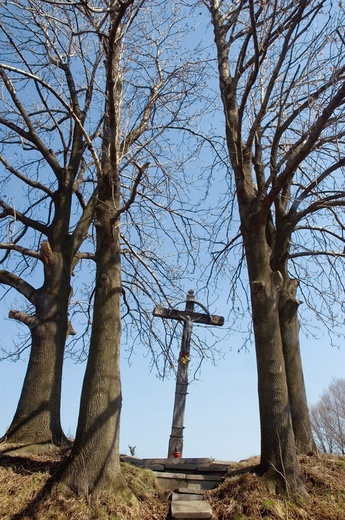 Kapliczki w obiektywie Adama Gryczyńskiego