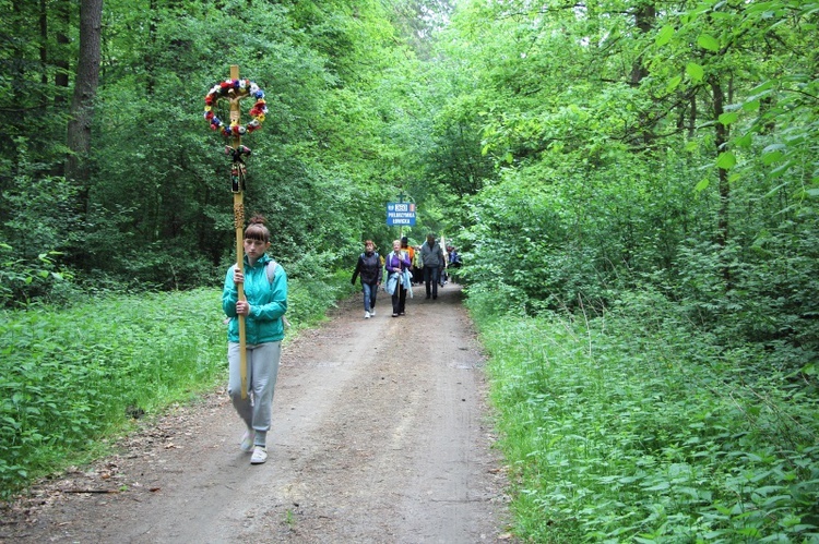 360. Łowicka Piesza Pielgrzymka na Jasną Górę, cz. II