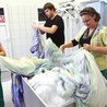 Podstawową działalnością Rosy są pralnie m.in. pościeli i obrusów okolicznych firm