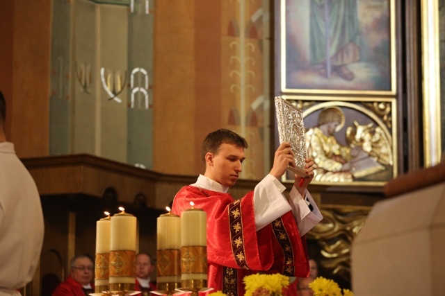 Święcenia kapłańskie w Bielsku-Białej A.D. 2015/ cz.1