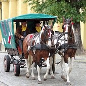  Po raz 10. konie powiozą pątników z sanktuarium św. Jadwigi Śl. do licheńskiego sanktuarium MB Bolesnej