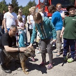 Przyjaciele dzieci w Czarnem