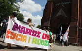 Marsz dla Jezusa i rodziny w Gliwicach