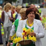 Krowód Wrażliwości w Gorzowie Wlkp.