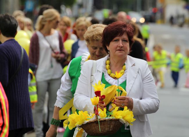 Krowód Wrażliwości w Gorzowie Wlkp.