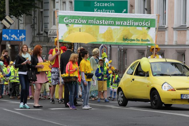 Krowód Wrażliwości w Gorzowie Wlkp.