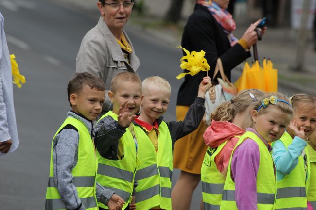 Krowód Wrażliwości w Gorzowie Wlkp.