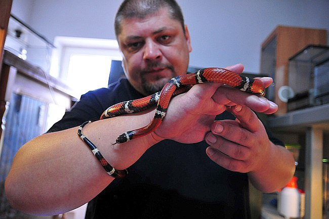 Schronisko dla Bezdomnych Zwierząt