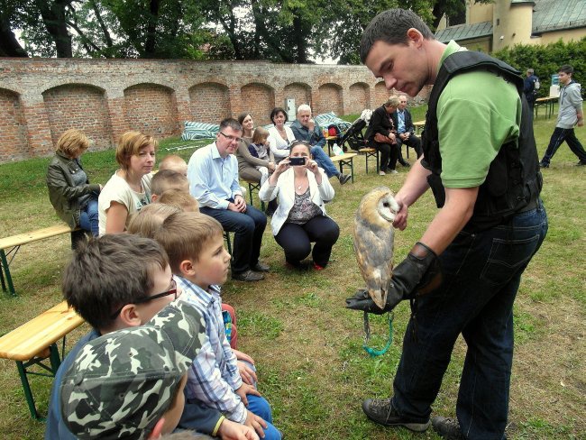 Pokaz sokolniczy na pielgrzymce rodzin 