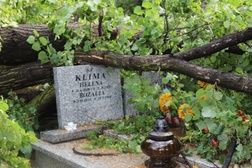 Zniszczone nagrobki po huraganie na dziedzickim cmentarzu