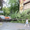 Przewrócone drzewo zablokowało ulicę w centrum Czechowic-Dziedzic