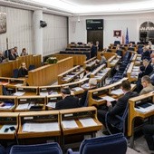 Senat: Gorąca dyskusja nad ustawą o in vitro