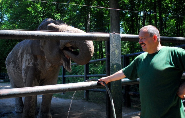 Upały w zoo