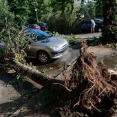 Burze zatrzymały nawet pociąg z premier Kopacz