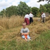 Tak gorąco, że trzeba odpocząć na snopku zboża. Wcześniej Michał uważnie podpatrywał pracę żniwiarzy