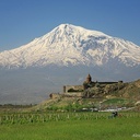 Pies, który czterokrotnie zdobył Ararat