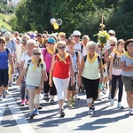 70. Pielgrzymka Rybnicka - dzień drugi - w drodze