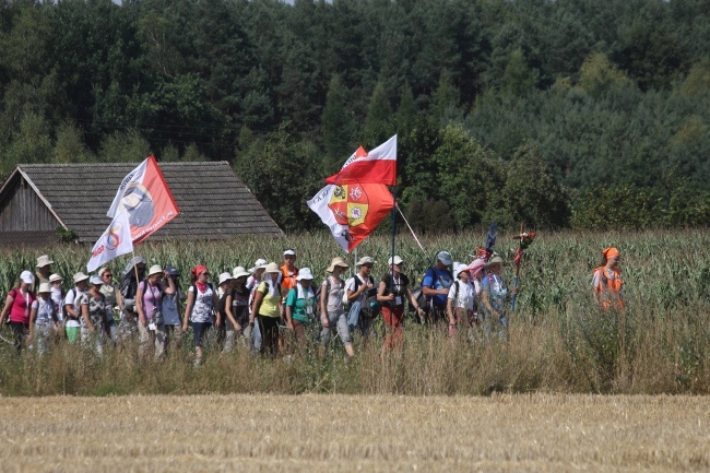 Smażing przed Jełową