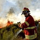 Portugalscy strażacy walczą z pożarem.