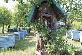  Skansen Pszczelarski w Pszczewie 