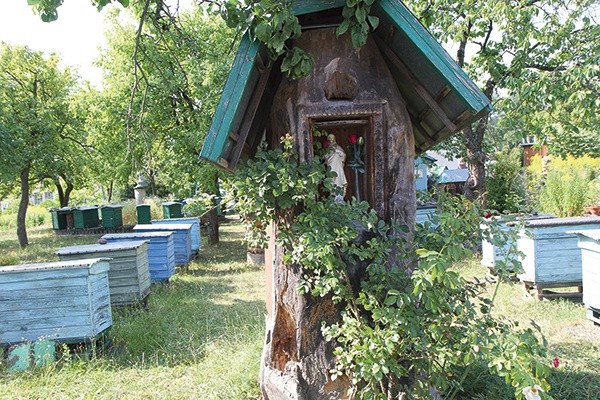  Skansen Pszczelarski w Pszczewie 