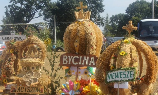 Plony są. Czas na sprawiedliwy podział