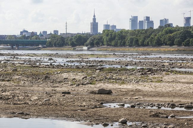 "Przedpotopowe" znaleziska na dnie Wisły