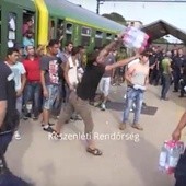 Migranci wyrzucają napoje